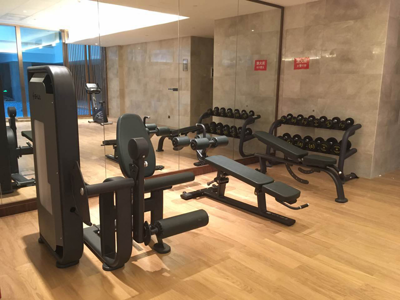 酒店健身房器材,室内健身器材,高端商用健身器材-广西银河Galaxy体育健身器材有限公司